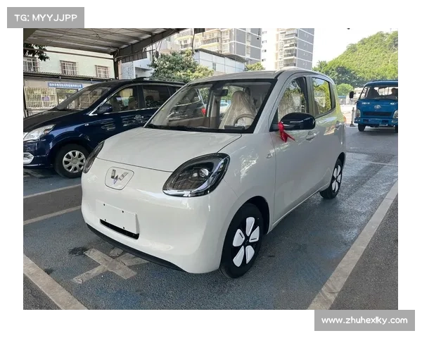 一万多买台全新五菱宏光MINIEV接送小孩与买菜合不合适 一万多买台全新五菱宏光MINIEV接送小孩与买菜合不合适