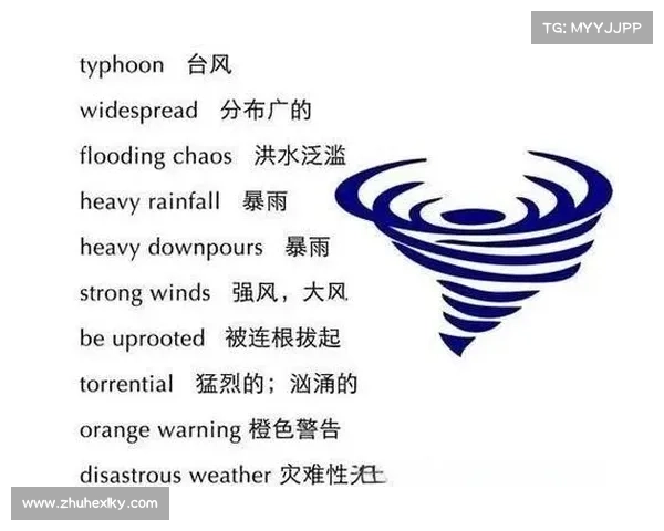 不同等级台风有何区别？视频揭秘台风“力量”分级